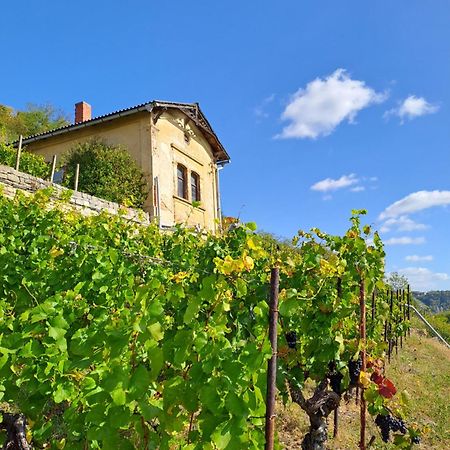 Ferienhaus Und Strausswirtschaft Im Weinberg Freyburg Exterior foto