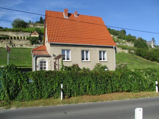 Ferienhaus Und Strausswirtschaft Im Weinberg Freyburg Exterior foto
